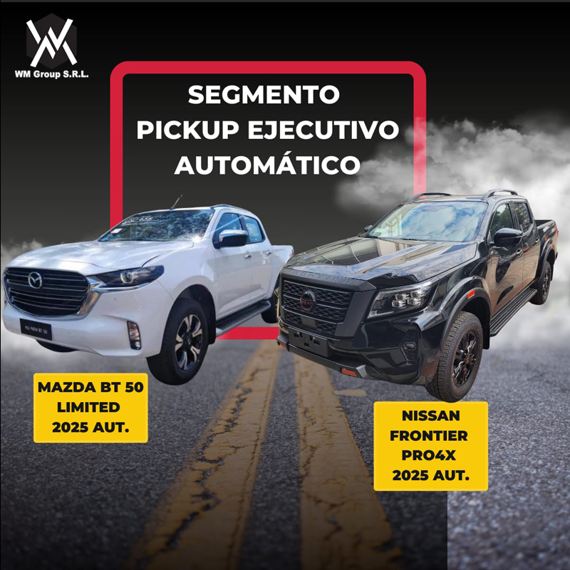 Vehículo de flota 2